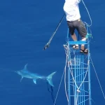 La caccia del pescespada: una pratica antica